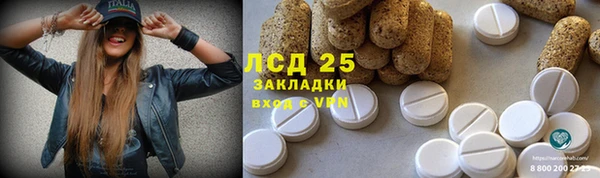 apvp Белокуриха