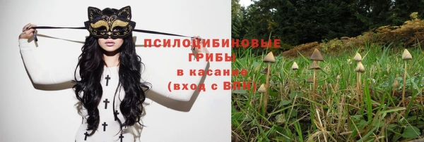 молекула духа Армянск