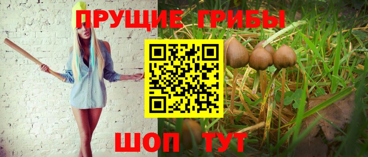 Галлюциногенные грибы Cubensis  Вход с VPN  Псилоцибиновые грибы Cubensis  Мурманск 