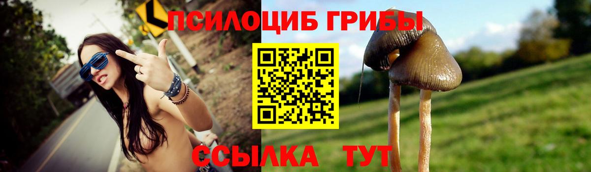 Псилоцибиновые грибы GOLDEN TEACHER Мурманск
