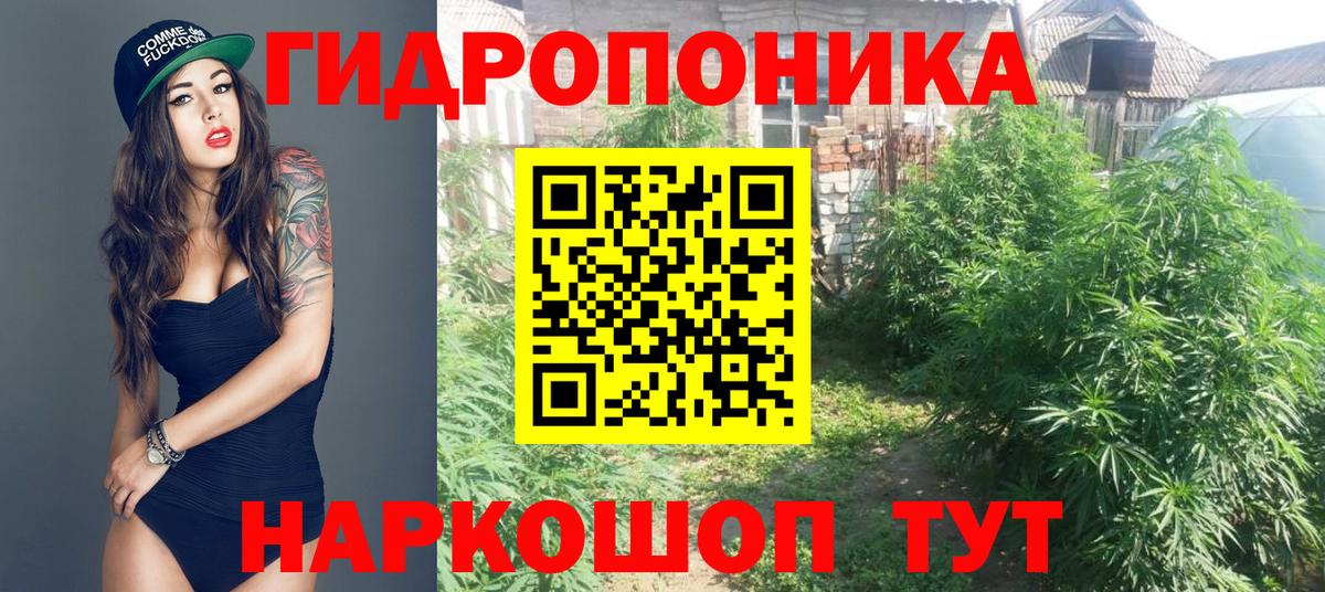 Бошки марихуана SATIVA & INDICA  Бошки марихуана марихуана  Вход с VPN  Мурманск  Конопля конопля 